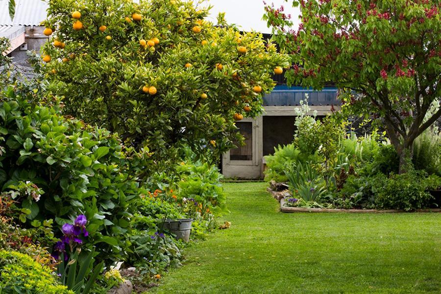 Bed and Breakfast Magnolia House à Blenheim Extérieur photo